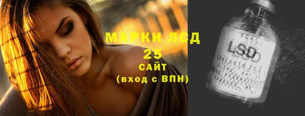 прущие грибы Фурманов