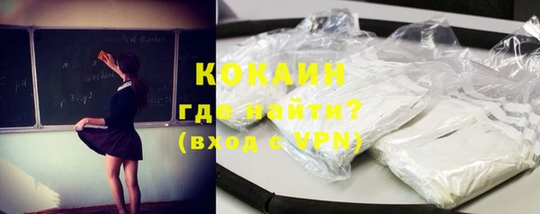 прущие грибы Фурманов