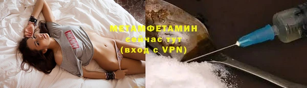 прущие грибы Фурманов