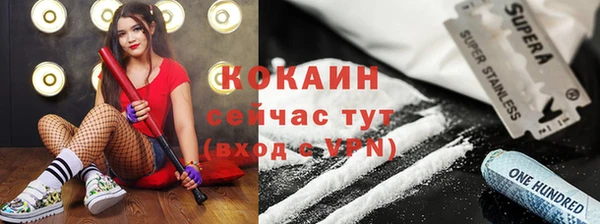 прущие грибы Фурманов