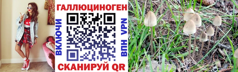 Галлюциногенные грибы мицелий  Калининец 